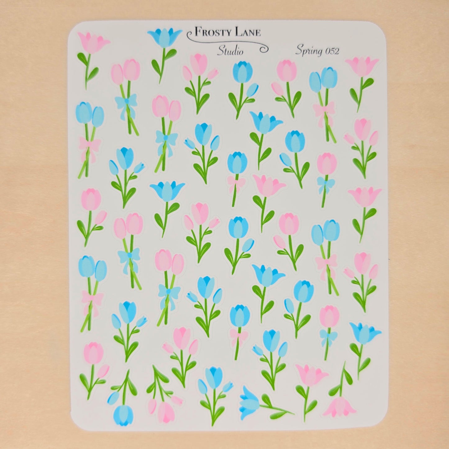 Spring52. Blue and Pink Tulip Blossoms