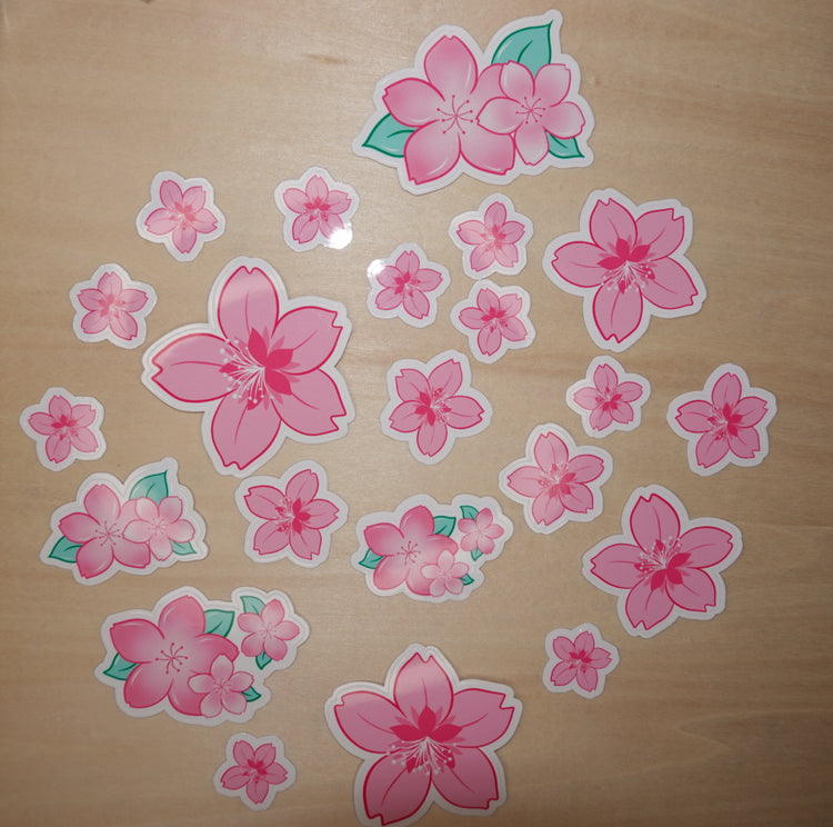Cherry Blossom