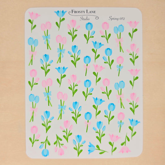 Spring52. Blue and Pink Tulip Blossoms