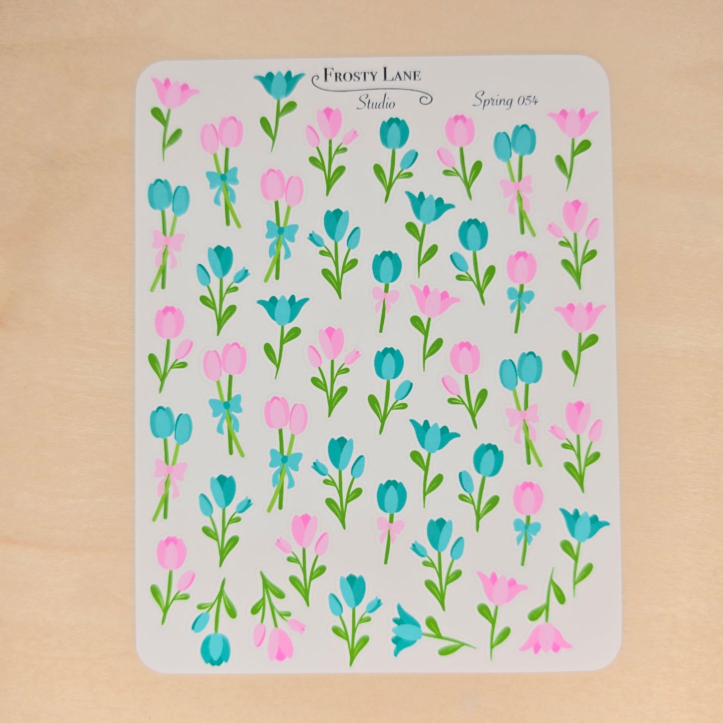 Spring54. Teal and Pink Tulip Blossoms