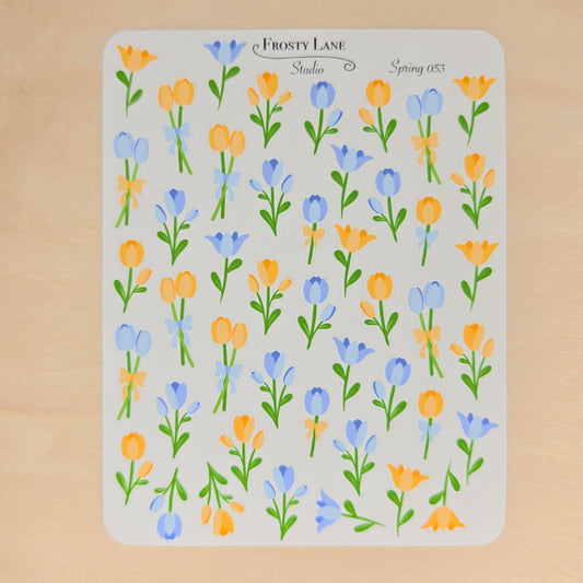 Spring53. Blue and Orange Tulip Blossoms