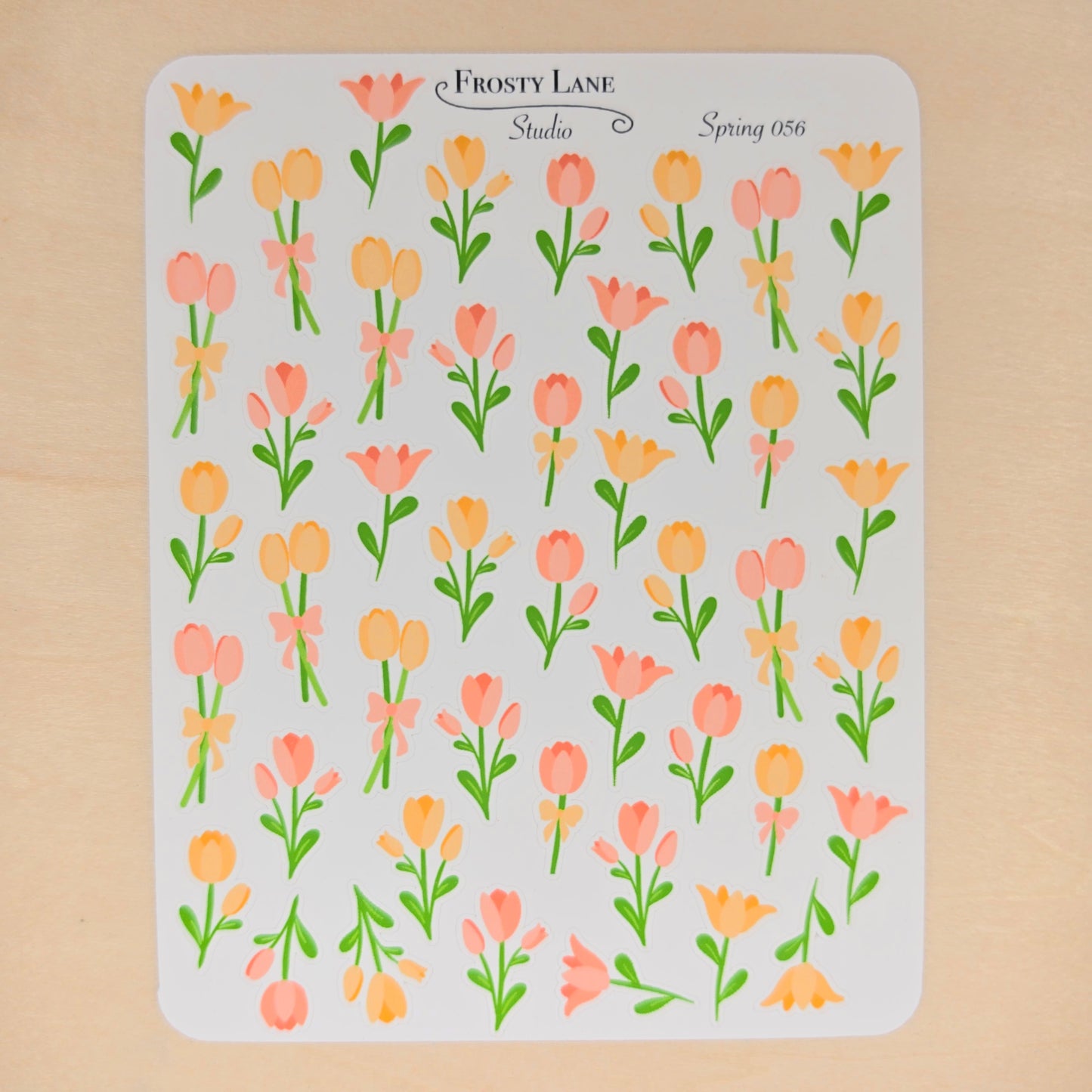 Spring56. Salmon and Peach Tulip Blossoms