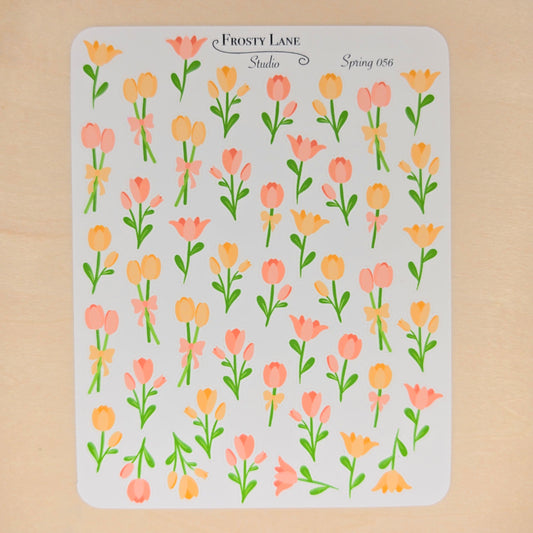 Spring56. Salmon and Peach Tulip Blossoms
