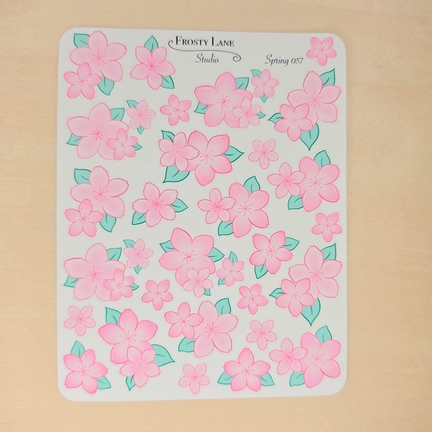Spring57. Pink Blossoms