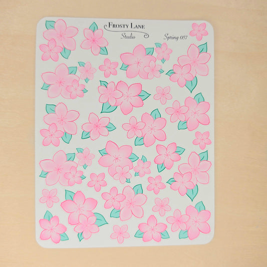 Spring57. Pink Blossoms