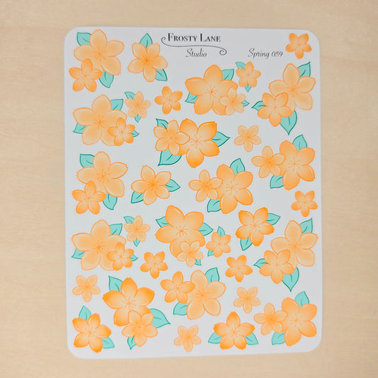 Spring59. Orange Blossoms